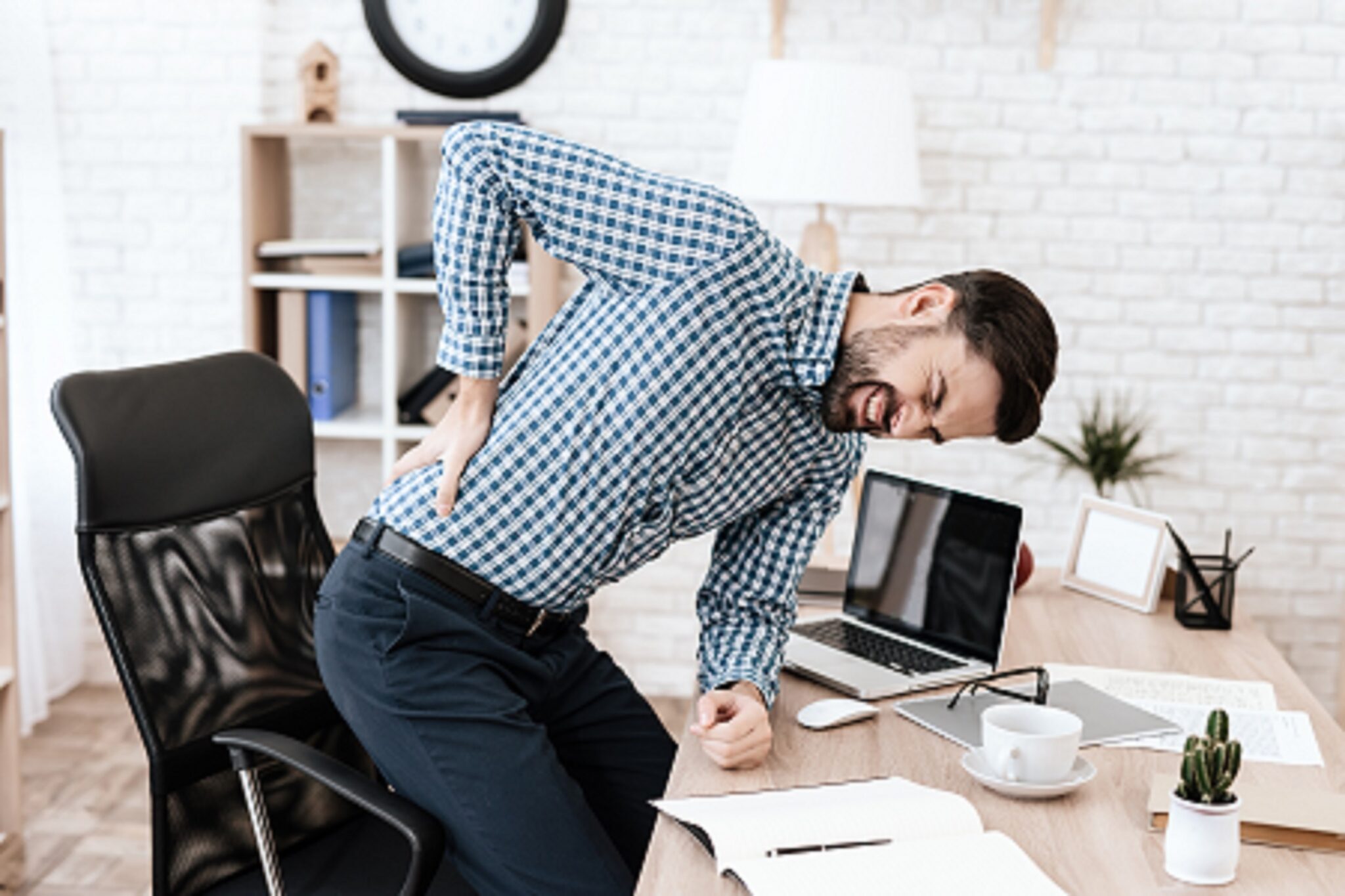 The Many Possible Causes of Low Back Pain