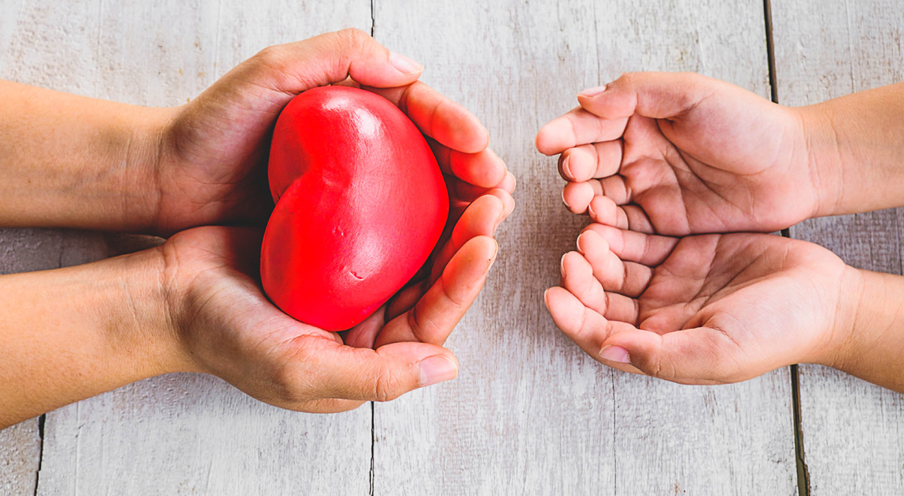 Organ Donation in India